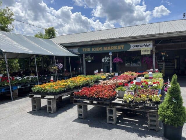 Flower display outside The Kids Market with vegetables and honey, reflecting Barrett NYC's community investment.